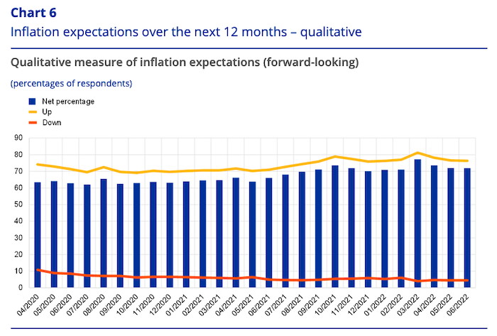 Inflation expectaions over the next 12 months - qualitative